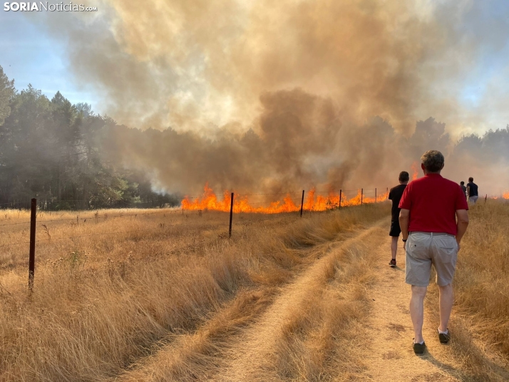 Vídeo: El monte de Navaleno se ve sorprendido por un incendio