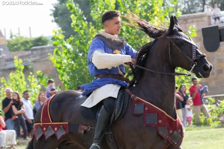 XXIV del Mercado Medieval 