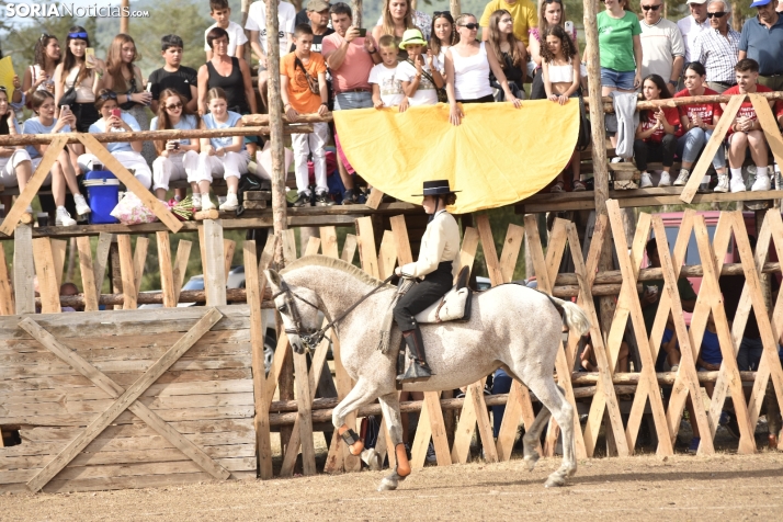 Becerrada de Vinuesa 2024. 