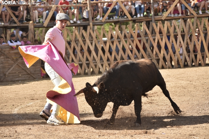 Becerrada de Vinuesa 2024. 