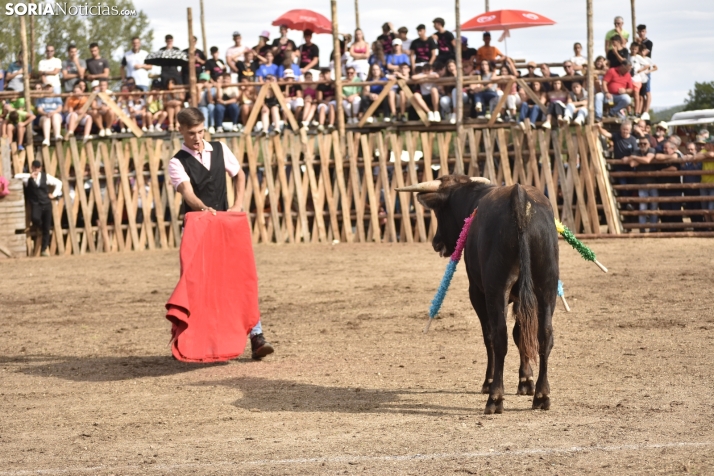 Becerrada de Vinuesa 2024. 