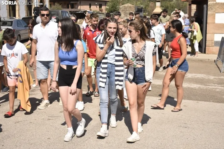 Gallofa de las fiestas de Golmayo.