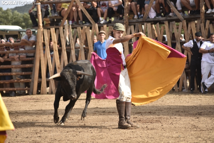 Becerrada de Vinuesa 2024. 