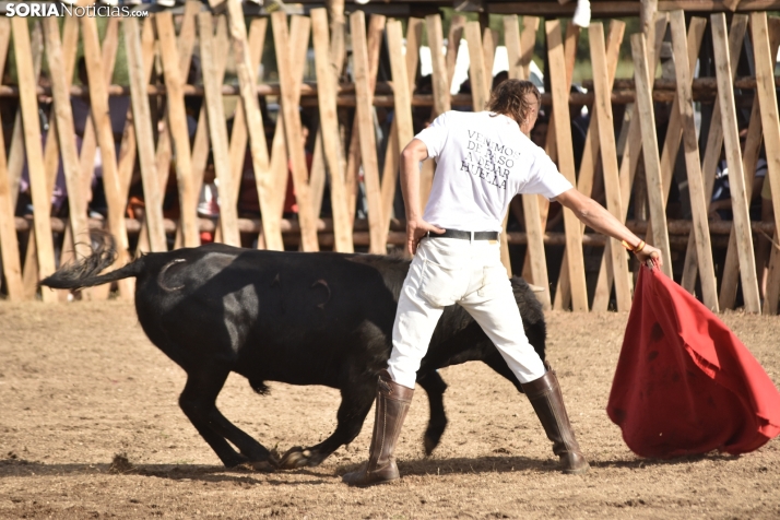 Becerrada de Vinuesa 2024. 