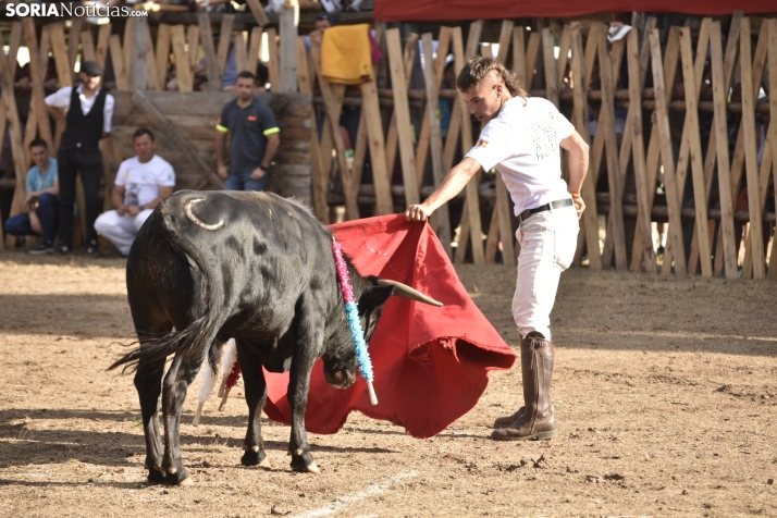 Becerrada de Vinuesa 2024. 