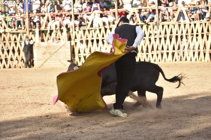 Becerrada de Vinuesa 2024. 