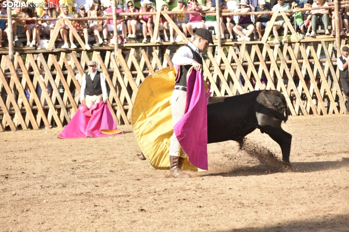 Becerrada de Vinuesa 2024. 