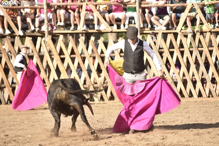 Becerrada de Vinuesa 2024. 