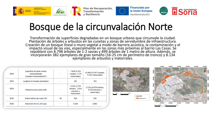  Soria adjudica por 200.00€ los 9.000 arboles que ‘separará’ el Polígono y Las Casas de la circunvalación 