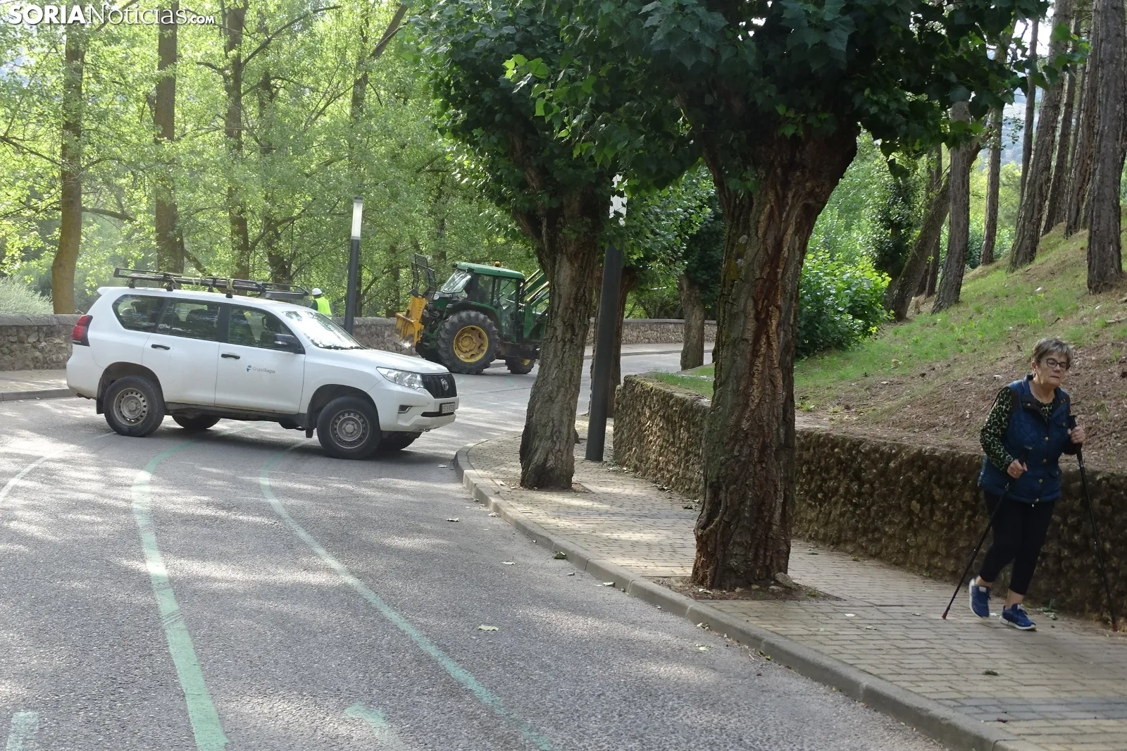 Una imagen de los trabajos de retirada del árbol. /PC