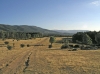 Foto 1 - Adjudicada la obra de renaturalización de la Cañada Real Soriana Occidental a su paso por la ciudad de Soria