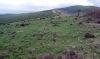 Paraje de Los Castillejos, en Taniñe. /celtiberiasoria.es