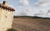 Foto 1 - Decrece en Castilla y León la compraventa de fincas rústicas después de repuntar tras la pandemia