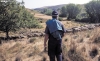 Un pastor con merinas en la demarcación de Tierras Altas. /SN