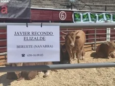 Foto 34 - La Feria Ganadera de Soria abre sus puertas