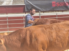 Foto 5 - La Feria Ganadera de Soria abre sus puertas