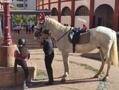 Foto 27 - La Feria Ganadera de Soria abre sus puertas
