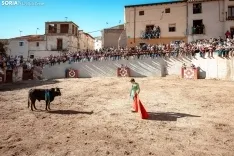 Encierro y novillada en Deza 2024. Viksar Fotografía.