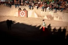 Encierro y novillada en Deza 2024. Viksar Fotografía.