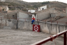 Encierro y novillada en Deza 2024. Viksar Fotografía.