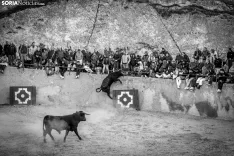Encierro y novillada en Deza 2024. Viksar Fotografía.