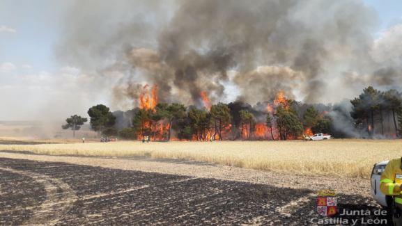 Los rayos y causas accidentales provocan la mayoría de los incendios forestales en Soria esta campaña