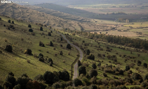 El uso extensivo del territorio, estrategia para revertir la despoblación y proteger la naturaleza 