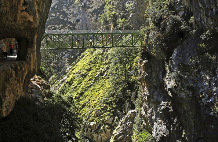 Nuevo muladar para el Parque Nacional de los Picos de Europa