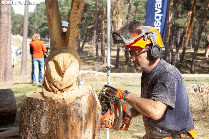 Cabrejas espera recibir a 4.000 visitantes en la Feria Forestal más importante de Soria