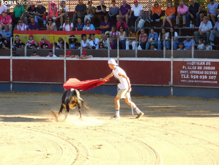 Recortes San Esteban