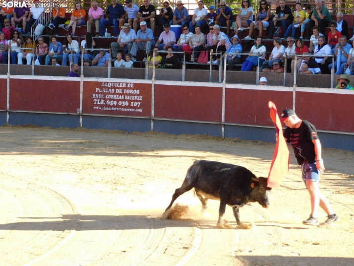 Recortes San Esteban