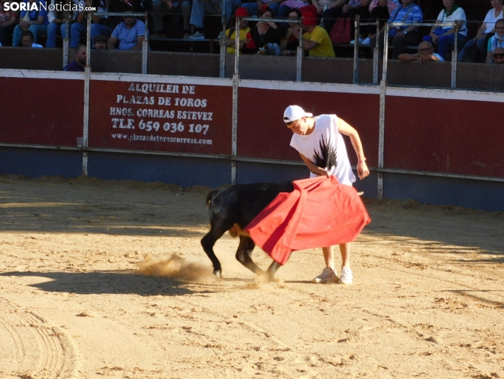 Recortes San Esteban