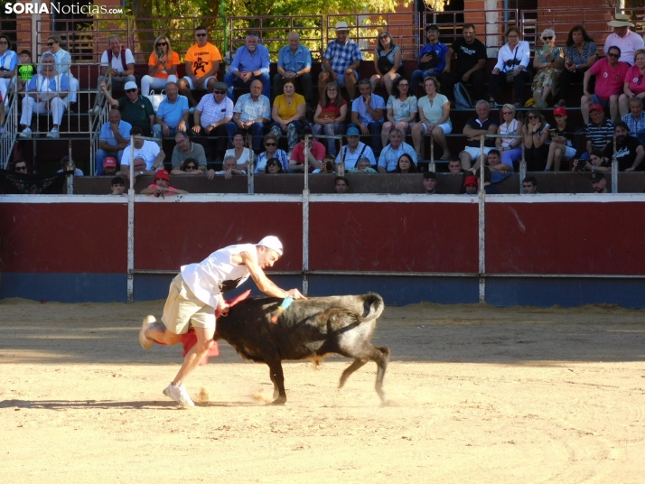 Recortes San Esteban