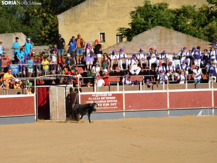 Recortes San Esteban