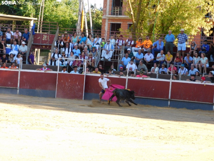 Recortes San Esteban