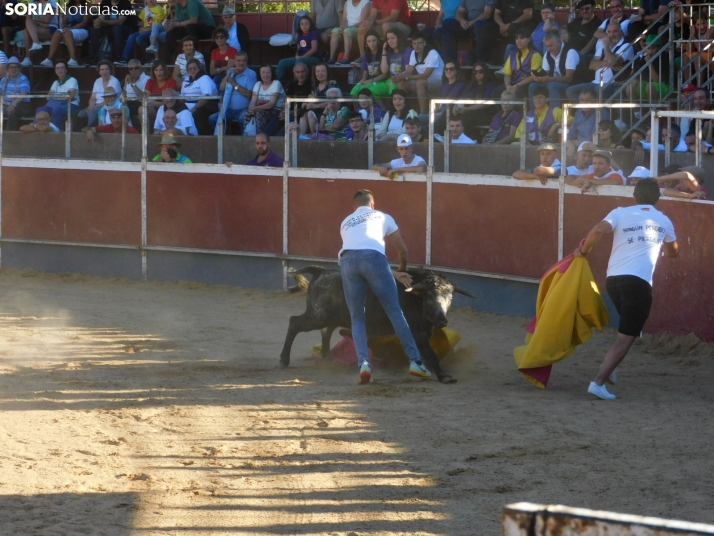 Recortes San Esteban