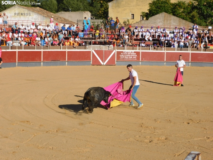 Recortes San Esteban