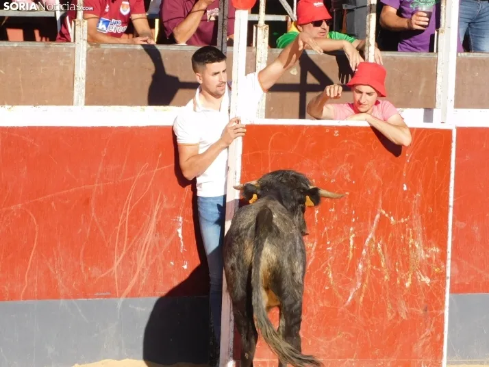 Recortes San Esteban