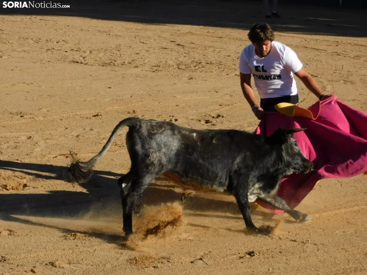 Recortes San Esteban