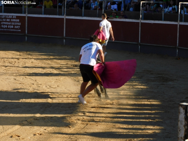 Recortes San Esteban