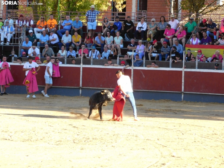 Recortes San Esteban