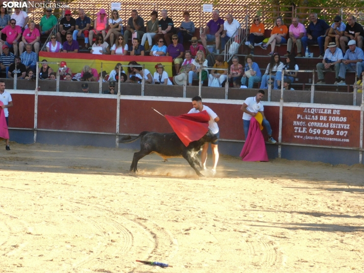 Recortes San Esteban