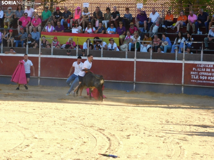 Recortes San Esteban