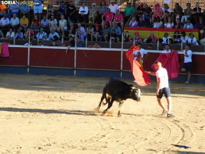 Recortes San Esteban