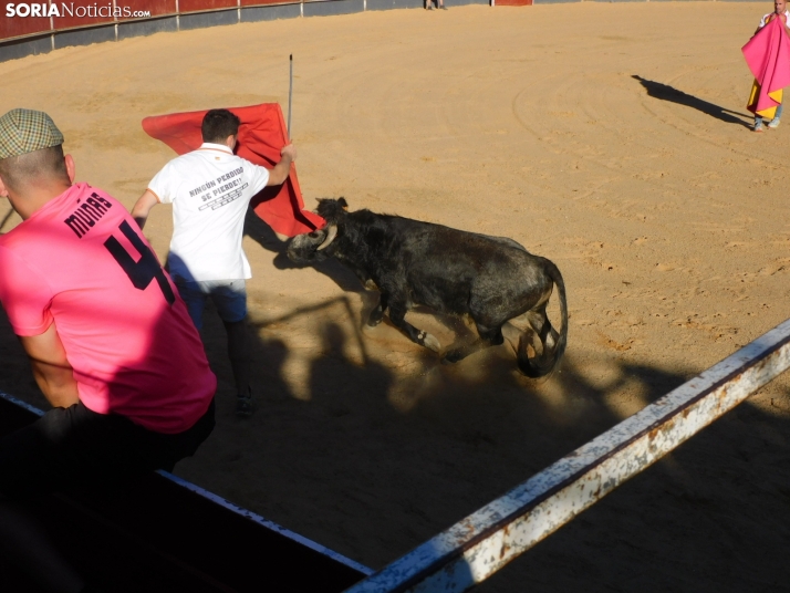 Recortes San Esteban