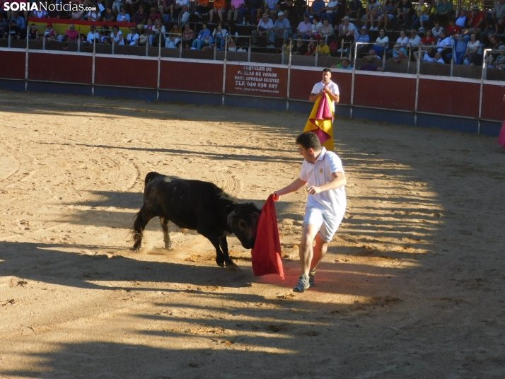 Recortes San Esteban