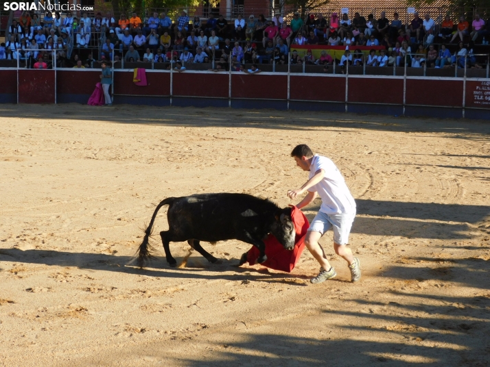 Recortes San Esteban