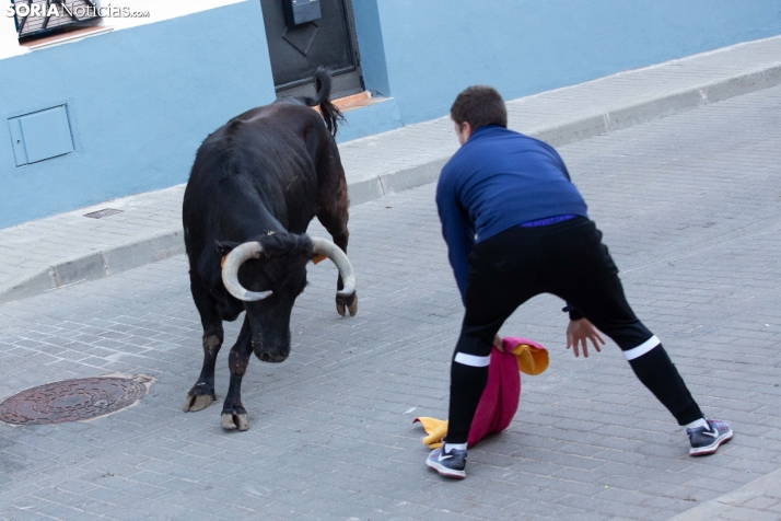 Encierro de Arcos