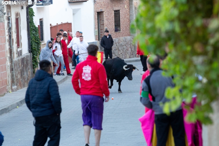 Encierro de Arcos