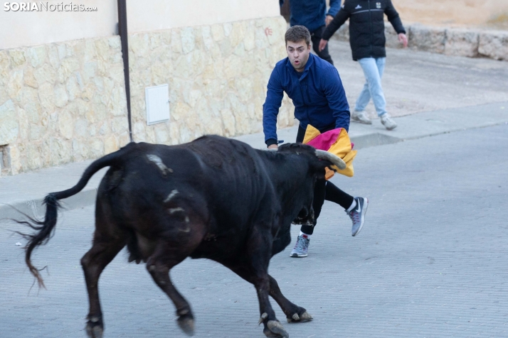 Encierro de Arcos